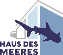 Haus des Meeres