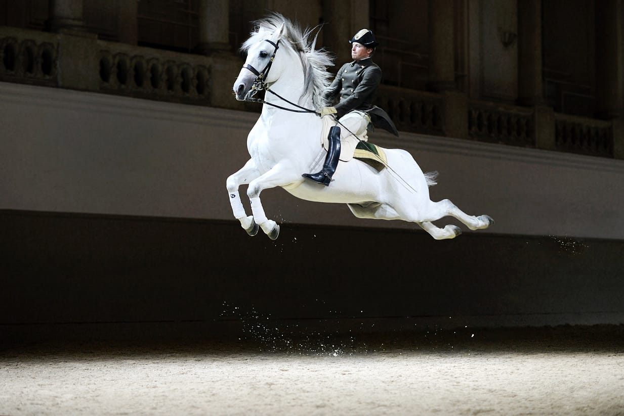 Foto 2 _Spanische Hofreitschule_Kapriole_(c)SRS-Rene van Bakel-web