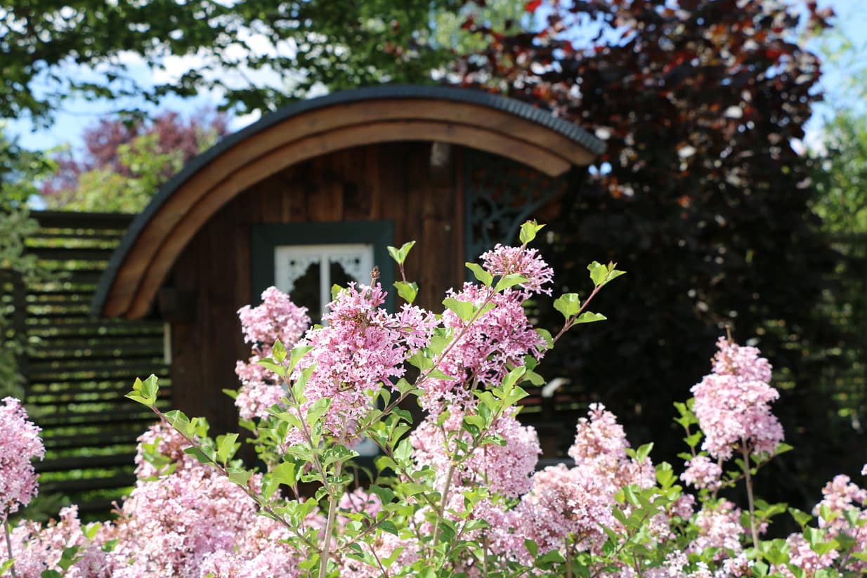 Garten der Gesundheitstherapien