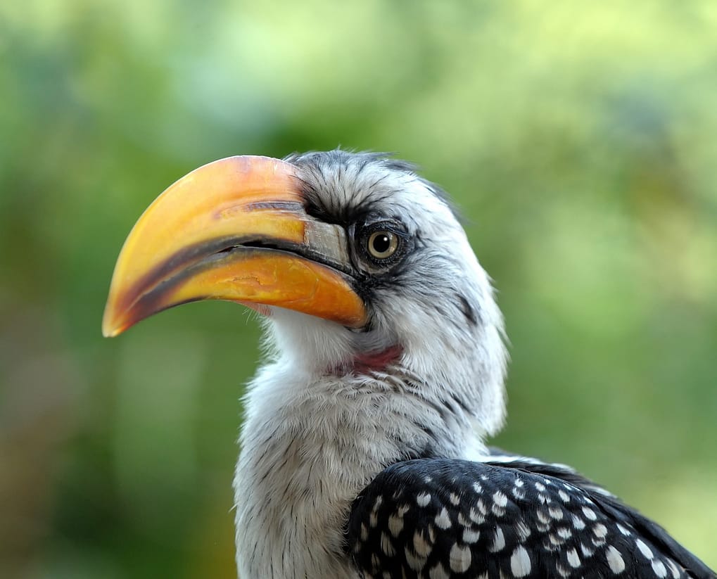 HausdesMeeres_Bild4_hansnovak_file_329-web