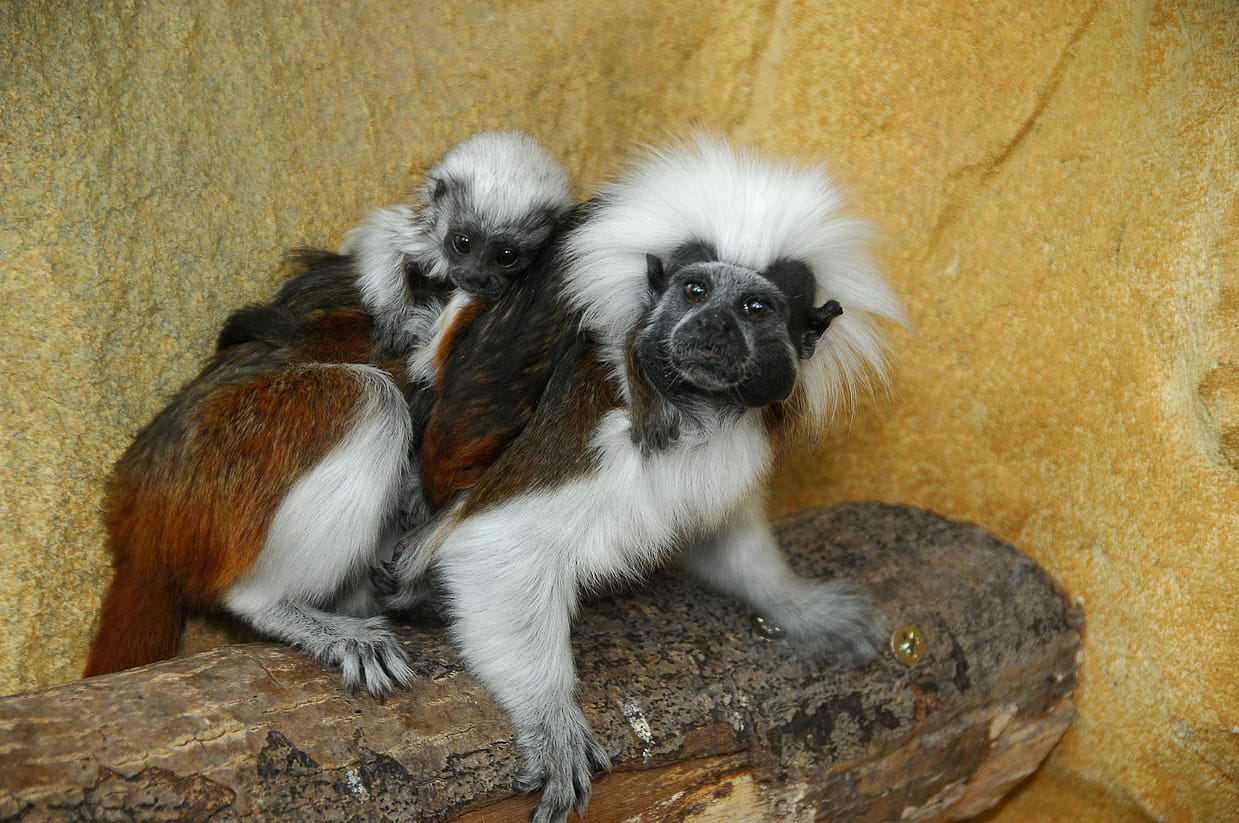 HausdesMeeres_Bild5_JuttaKirchner (100)-web