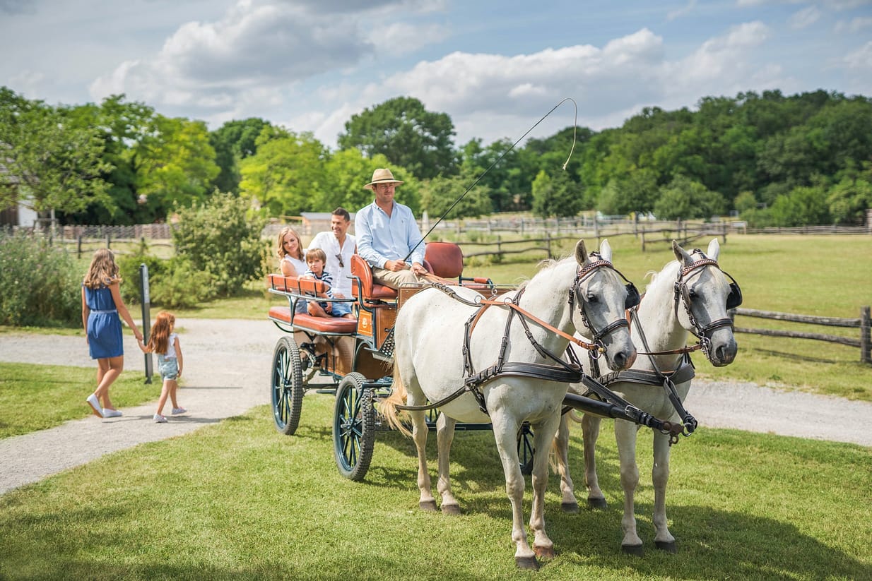 Schloss Hof Kutsche 02© Schloß Schönbrunn Kultur- und Betriebsges.m.b.H. - Severin Wurnig_web-web