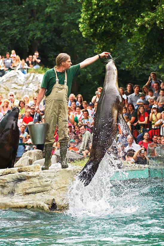 Tiergarten Schönbrunn Bild 3 Daniel Zupanc-web