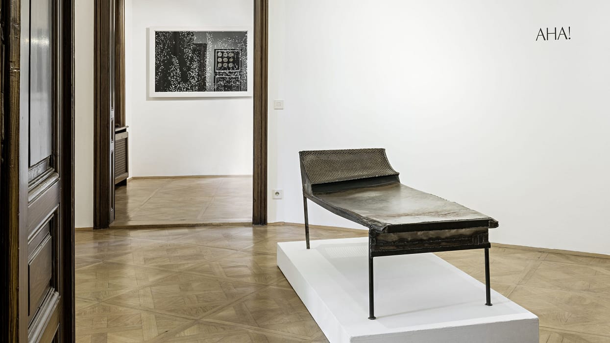 SigmundFreudMuseum_Bild3_HerthaHurnaus