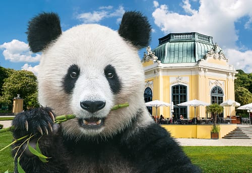 Tiergarten Schönbrunn